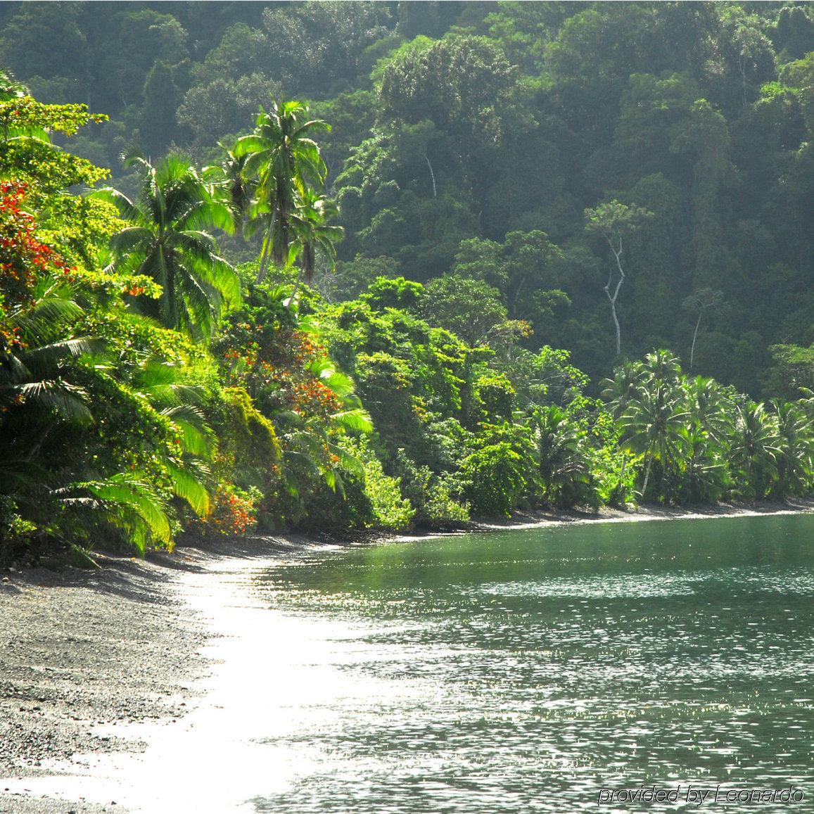 Playa Nicuesa Rainforest Eco Sanctuary Villa Golfito Exterior photo