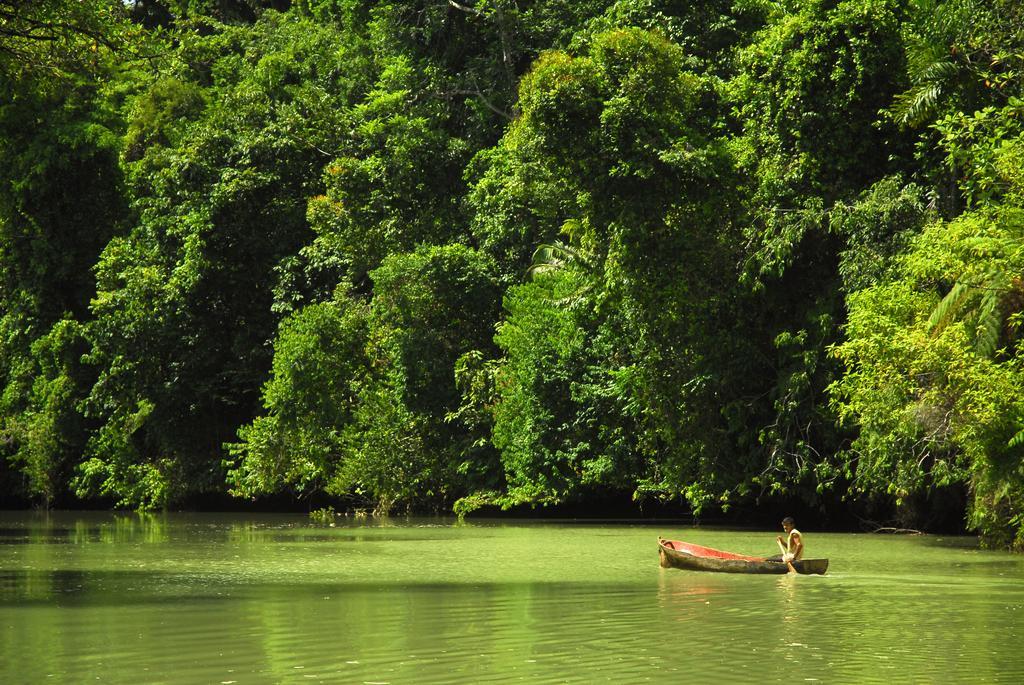 Playa Nicuesa Rainforest Eco Sanctuary Villa Golfito Exterior photo