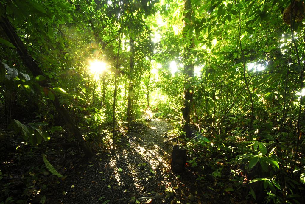 Playa Nicuesa Rainforest Eco Sanctuary Villa Golfito Exterior photo